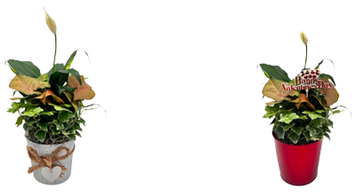 4.5" Metal Pail w/ Valentine